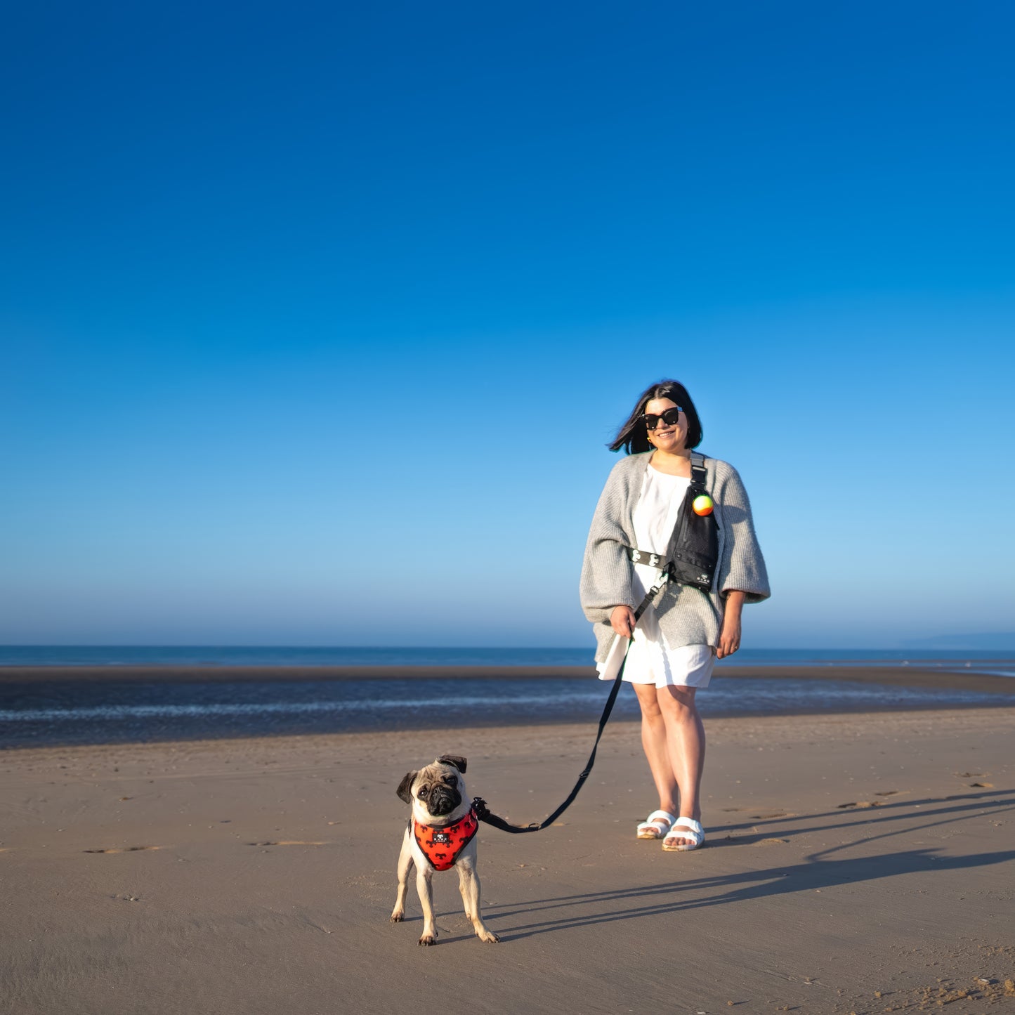 Hands-free Dog Walking Bag