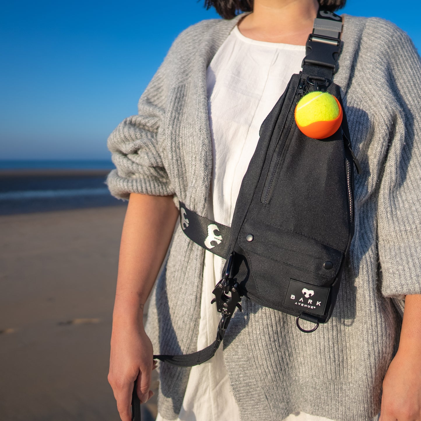 Hands-free Dog Walking Bag