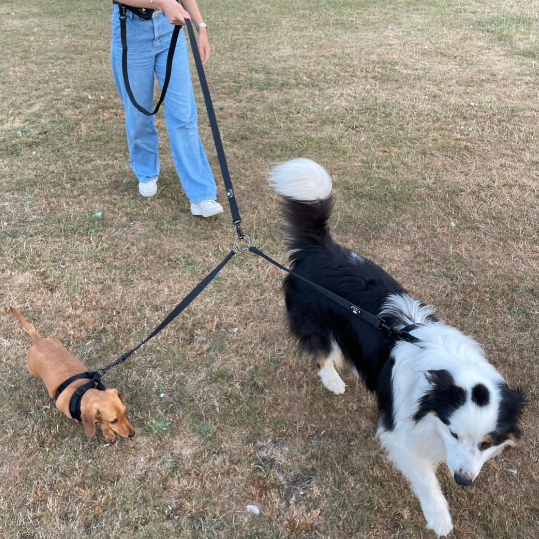 BARK AVENUE Heavy Duty Black Double Splitter Extender For Walking Two Dogs