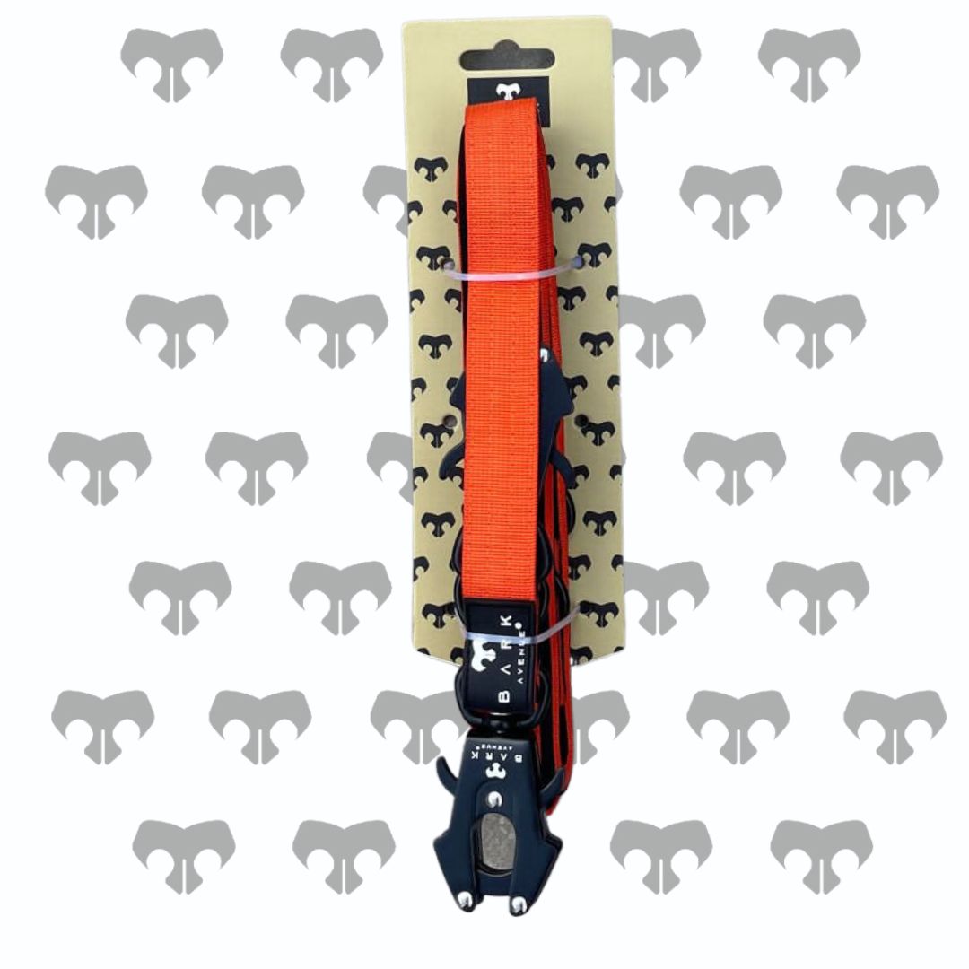 BARK AVENUE Heavy Duty 2.5m Orange Anti-Tangle Double Frog Clip Lead