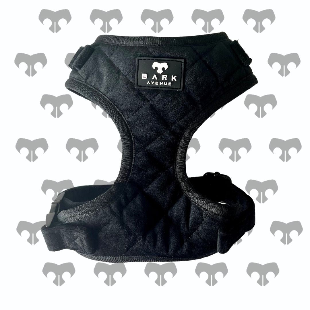 BARK AVENUE Luxury Black Velour Harness