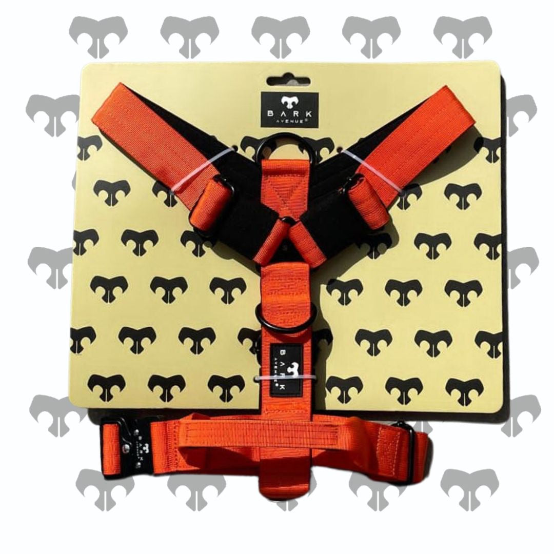 BARK AVENUE Heavy Duty Orange Tactical Harness