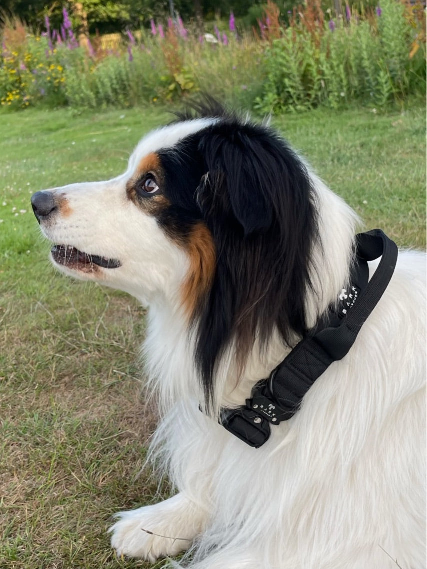 BARK AVENUE Heavy Duty Black AirTag Collar