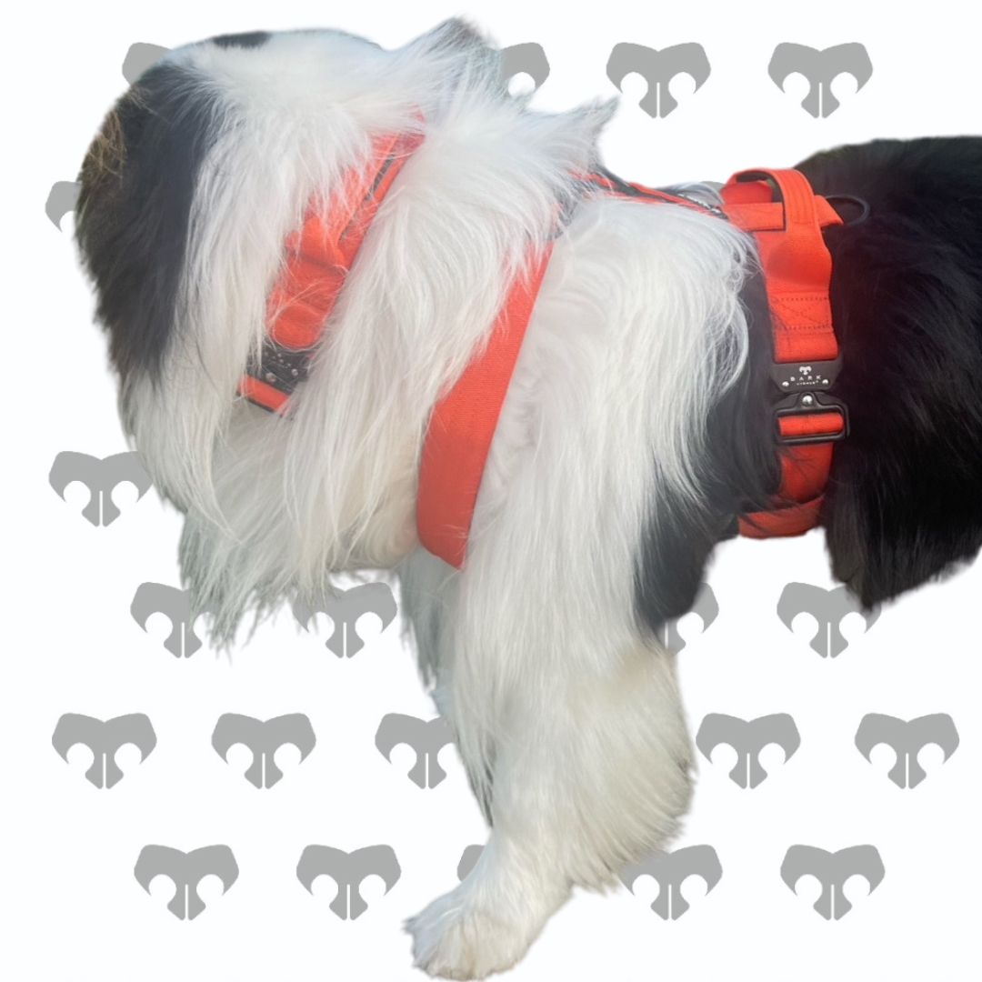 BARK AVENUE Heavy Duty Orange Tactical Harness