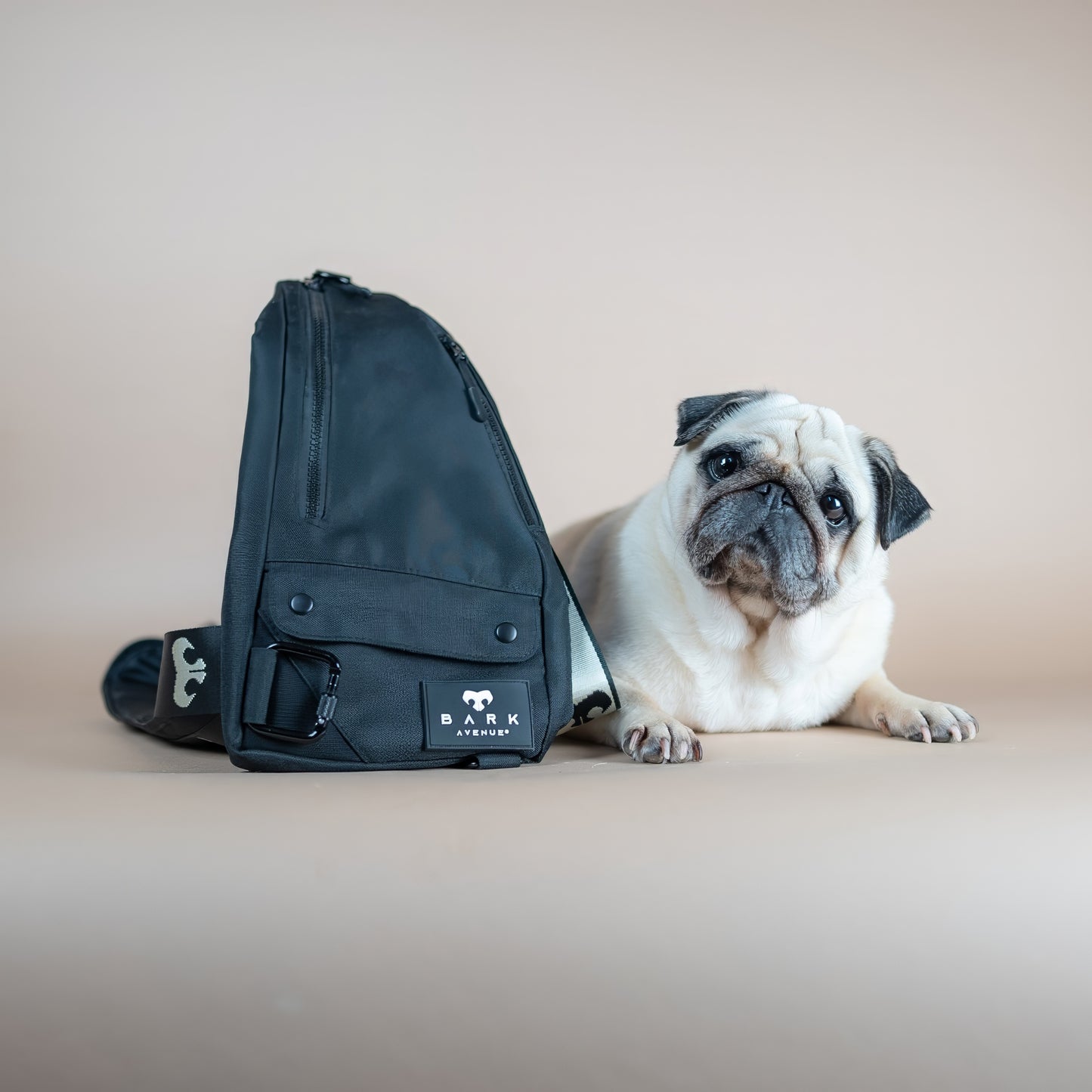 Hands-free Dog Walking Bag