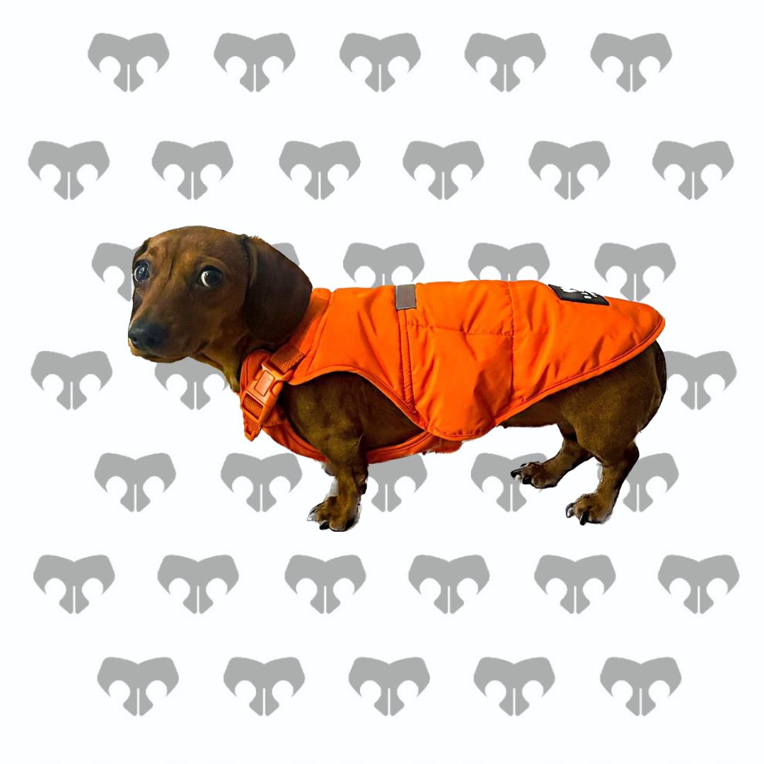BARK AVENUE Ultimate Explorer Coat - Orange