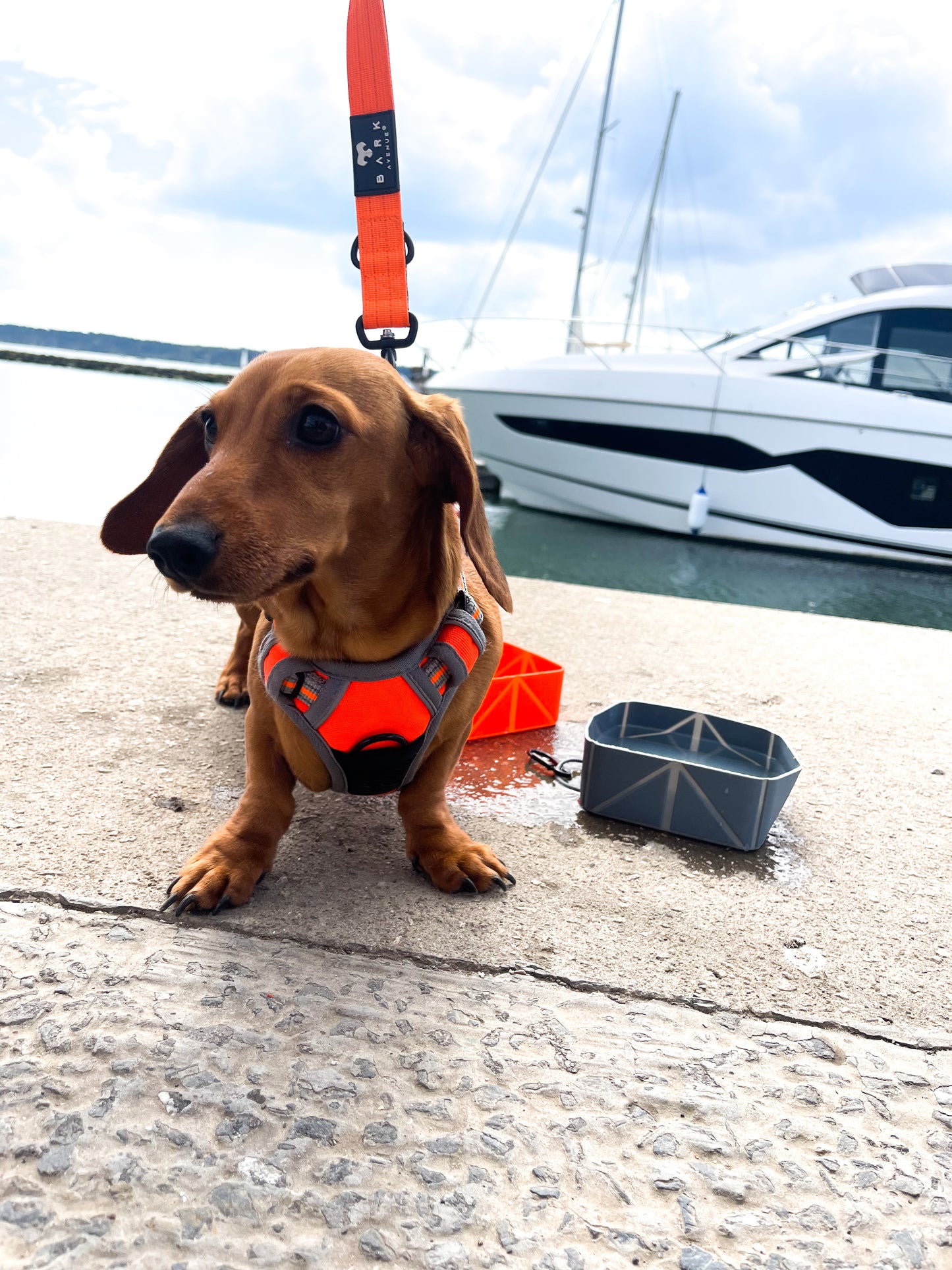 BARK AVENUE Silicone Foldable Water Bowl