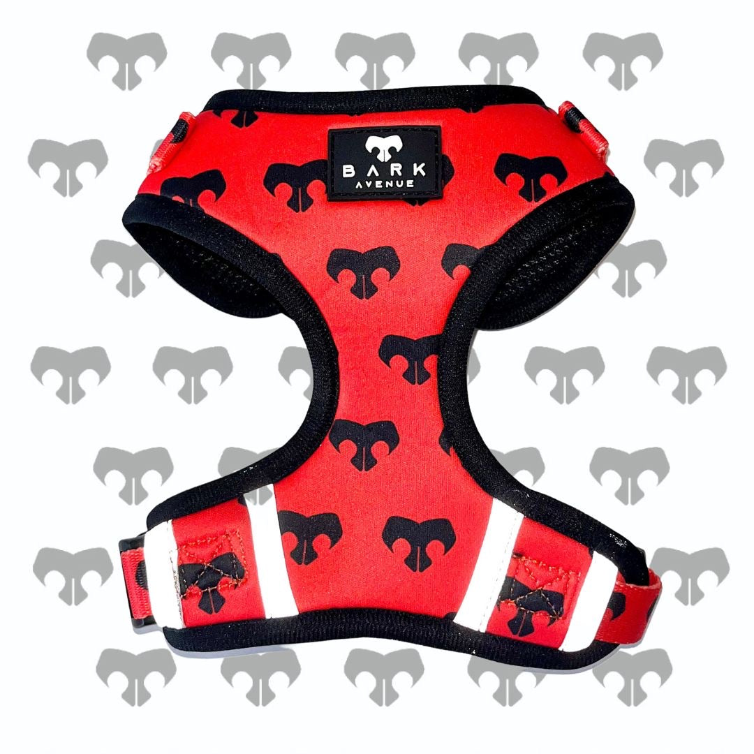 BARK AVENUE ‘Ember’ Harness