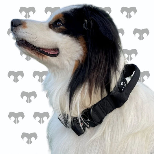 BARK AVENUE Heavy Duty Black AirTag Collar