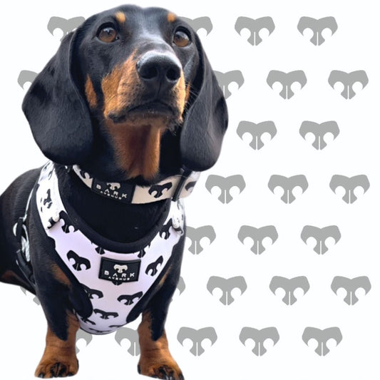 BARK AVENUE Mono Harness