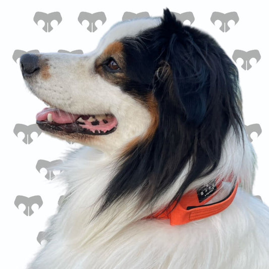 BARK AVENUE Heavy Duty Orange AirTag Collar