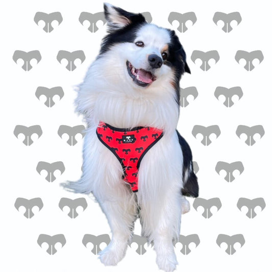 BARK AVENUE ‘Ember’ Harness