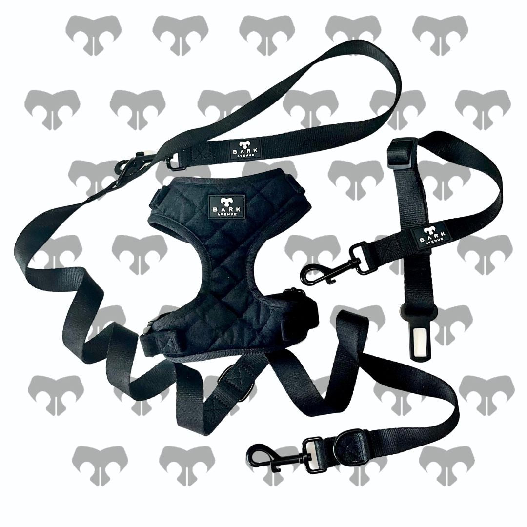 BARK AVENUE Luxury Black Velour Harness