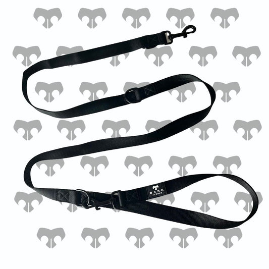 BARK AVENUE Double Clip Long Black Lead