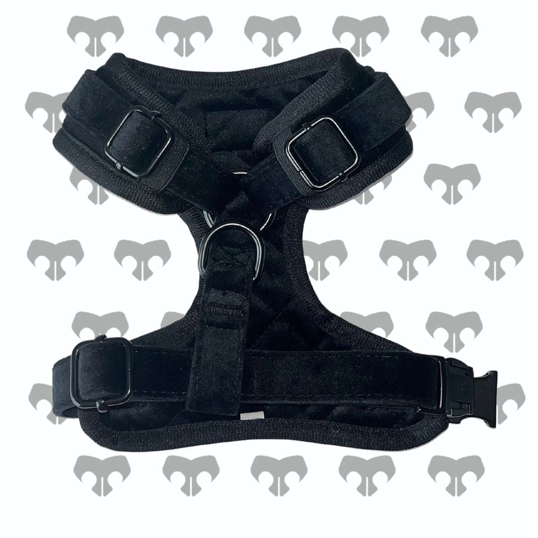 BARK AVENUE Luxury Black Velour Harness