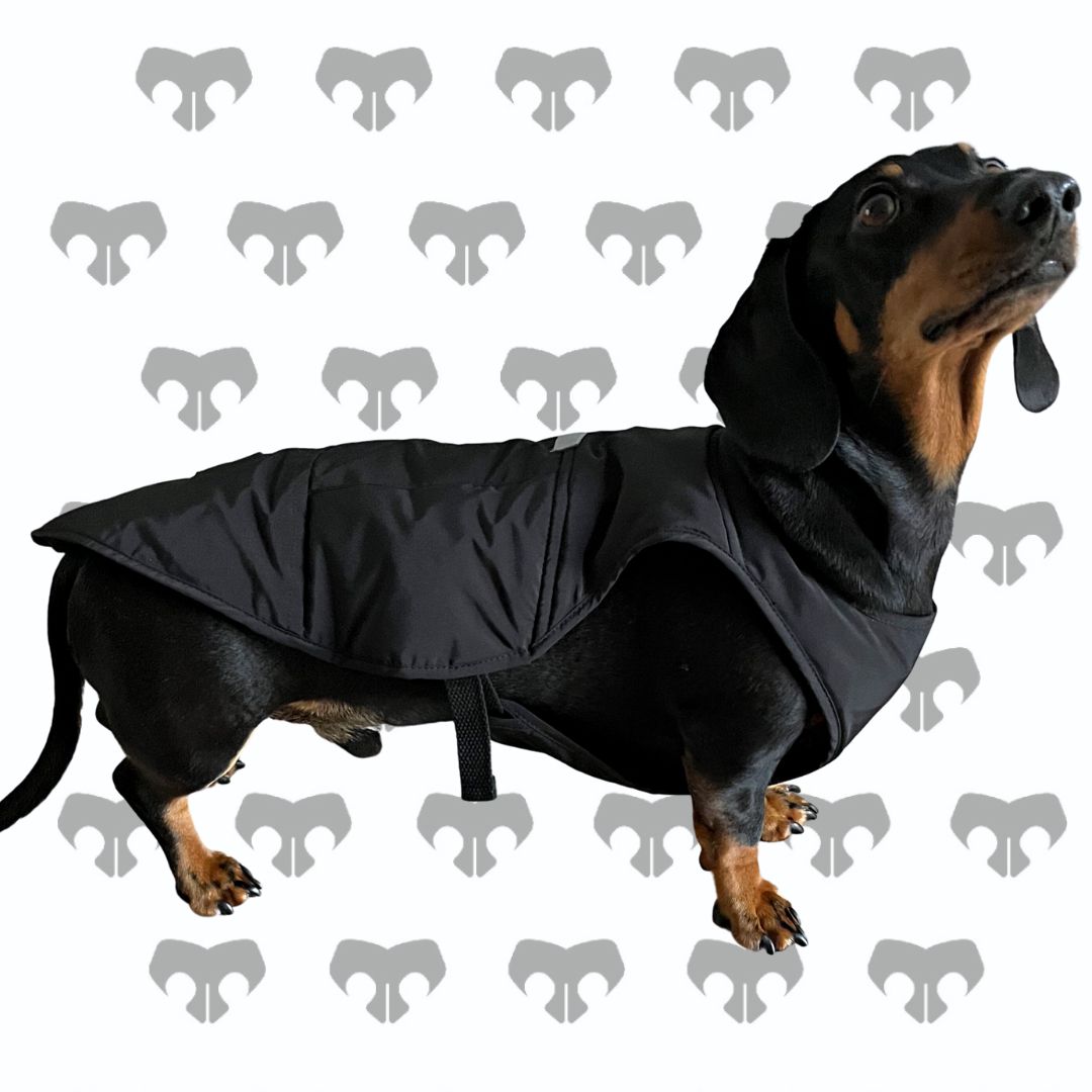 BARK AVENUE Ultimate Explorer Coat - Black
