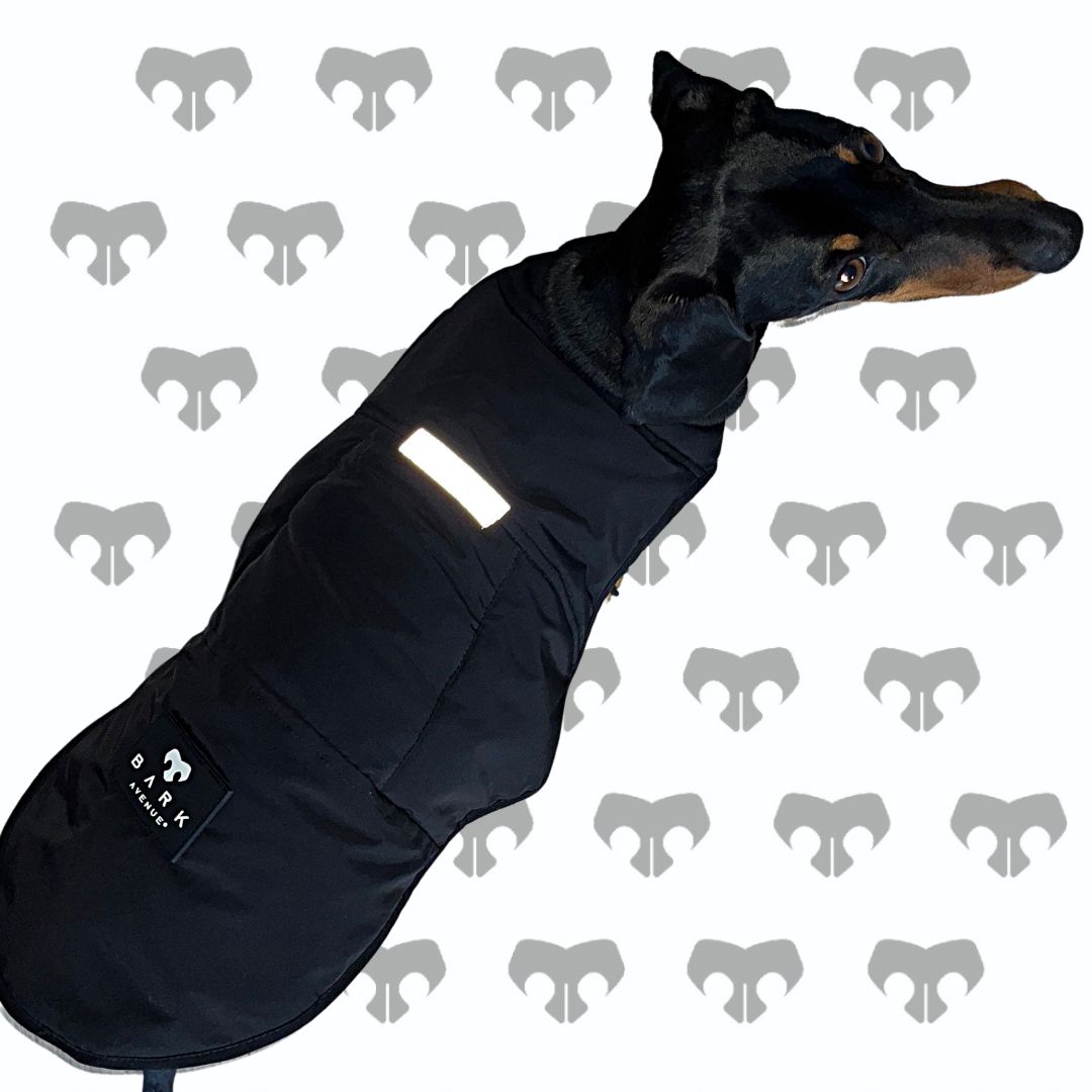 BARK AVENUE Ultimate Explorer Coat - Black