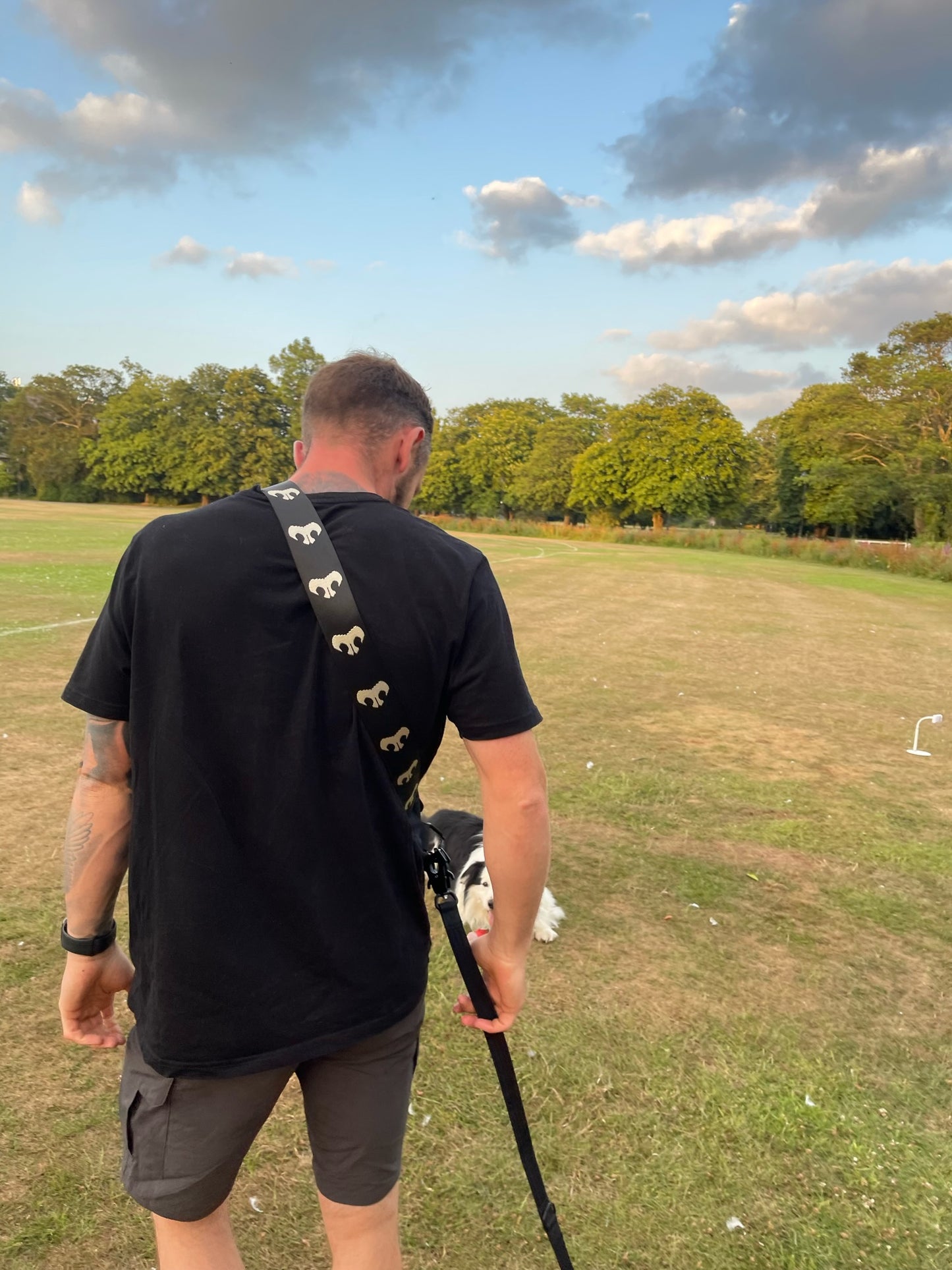 Hands-free Dog Walking Bag