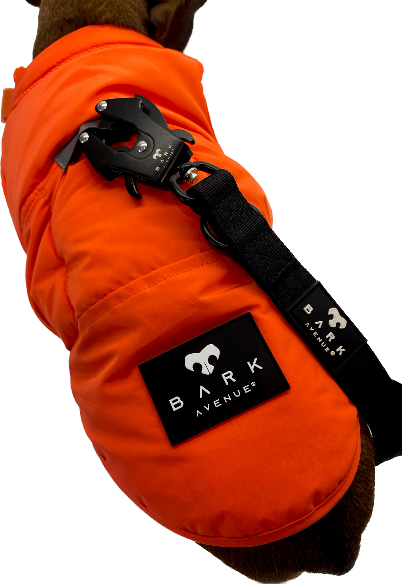 BARK AVENUE Ultimate Explorer Coat - Orange